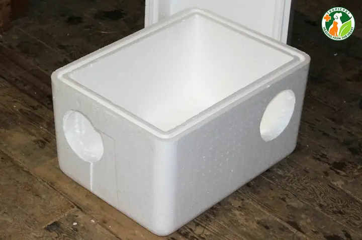 Các Bước Làm Nhà Cho Chó Bằng Thùng Xốp