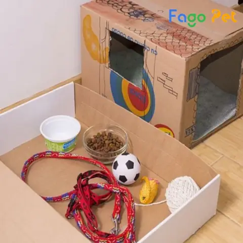 Chuẩn Bị Vật Dụng Làm Nhà Cho Chó Bằng Thùng Carton