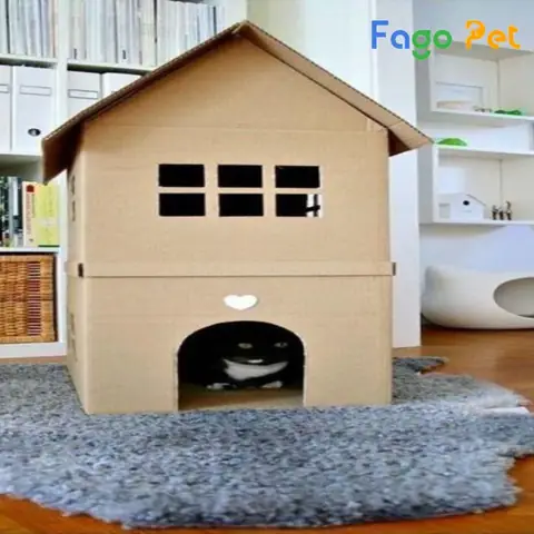 Lưu Ý Khi Làm Nhà Cho Chó Bằng Thùng Carton