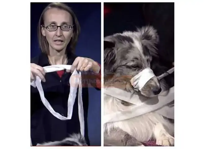 Rọ Mõm Cho Chó Bằng Băng Gạc Rọ Mõm Cho Chó Bằng Băng Gạc