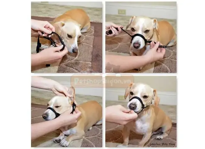 Rọ Mõm Bền Từ Dây Khóa Bằng Nhựa Rọ Mõm Bền Từ Dây Khóa Bằng Nhựa