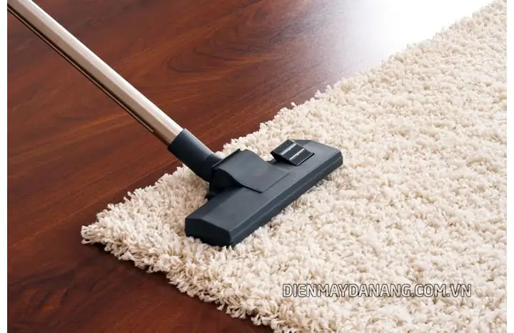 Làm Sạch Lông Chó Mèo