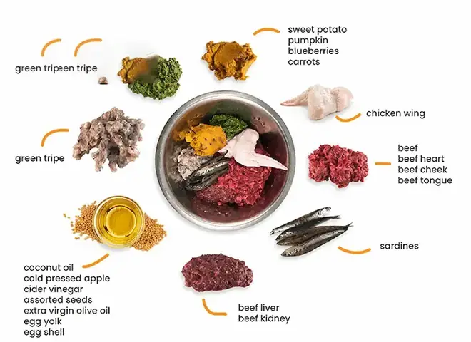 Bật Mí Cách Làm Thức Ăn Cho Chó Đầy Đủ Chất Dinh Dưỡng Nhất