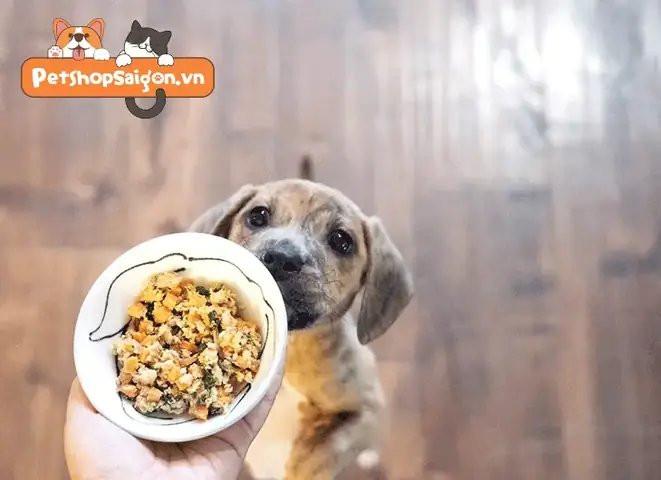Cách Làm Thức Ăn Khô Cho Chó Cực Đơn Giản