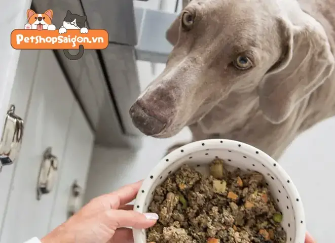 Những Lợi Ích Khi Bạn Tự Tay Làm Thức Ăn Khô Cho Chó