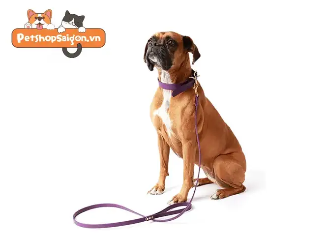 Cách Làm Vòng Cổ Handmade Cho Chó