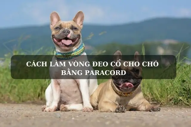 Cách Làm Vòng Đeo Cổ Cho Chó Bằng Paracord Cách Làm Vòng Đeo Cổ Cho Chó Bằng Paracord