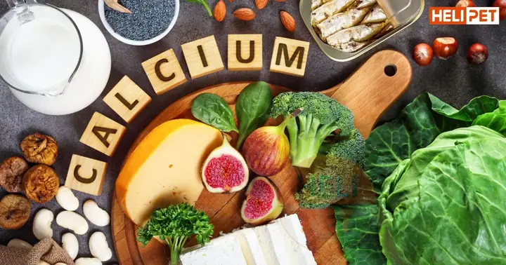 Thực Phẩm Giàu Canxi