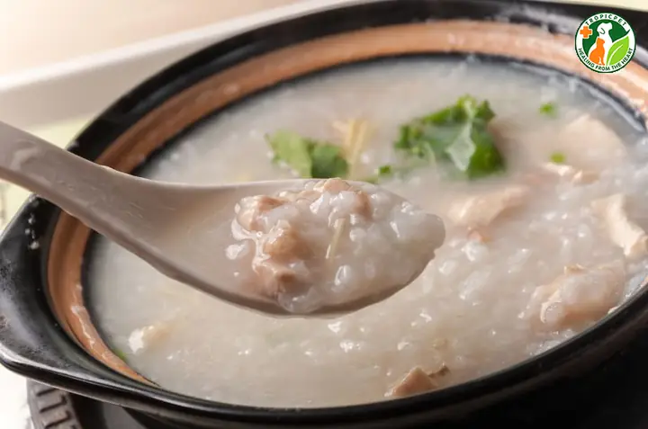 Cách Nấu Cháo Cho Chó Con 1 Tháng Tuổi