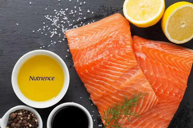 Cách Nuôi Chó Mau Mậptừ Cá