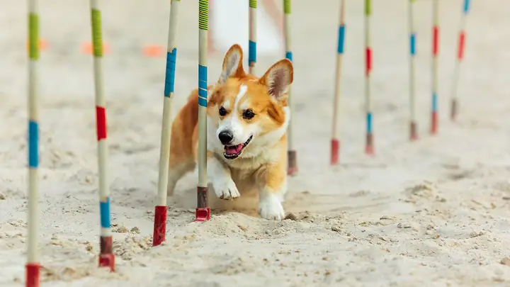 Môi Trường Sống Môi Trường Sống