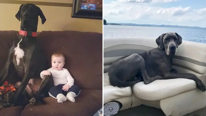 Đặc Điểm Tính Cách Đặc Điểm Tính Cách