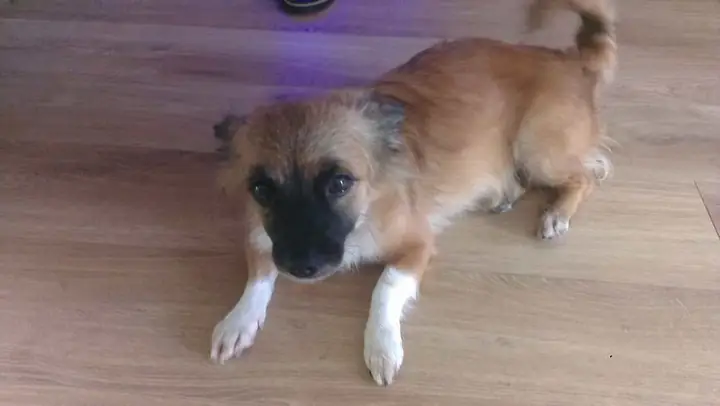 Bệnh Viêm Miệng Do Nấm