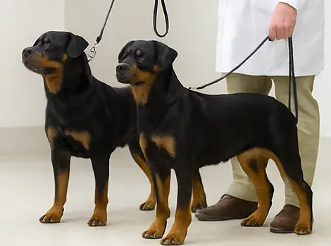 Kiểm Tra Sức Khỏe Tổng Quát Kiểm Tra Sức Khỏe Tổng Quát