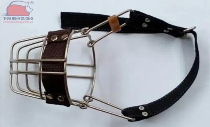 Cách Rọ Mõm Chó Dữ: Hướng Dẫn An Toàn Và Nhân Đạo Từ Chuyên Gia