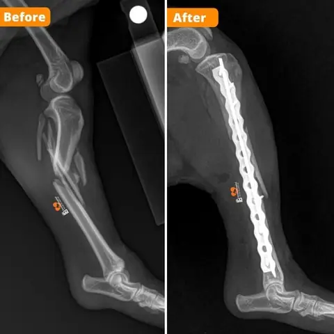 Cần Chuẩn Bị Gì Khi Đến Bệnh Viện Và Tìm Nguồn Hỗ Trợ Uy Tín Cần Chuẩn Bị Gì Khi Đến Bệnh Viện Và Tìm Nguồn Hỗ Trợ Uy Tín