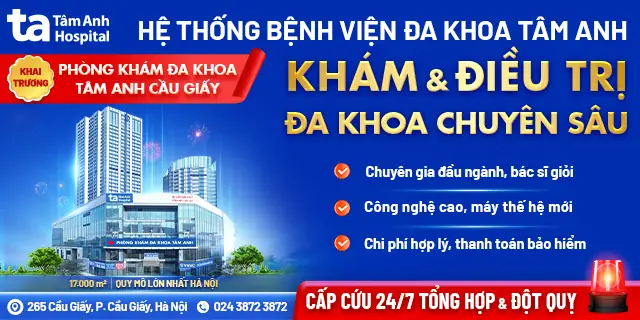 Việc Cần Làm Ngay Khi Bị Chó Cắn