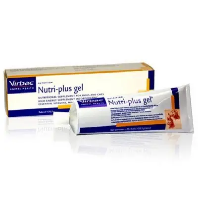 Những Lợi Ích Của Sản Phẩm Gel Dinh Dưỡng Dành Cho Chó