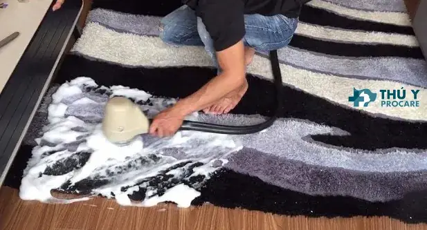 Vệ Sinh Nhà Cửa, Diệt Ve, Bọ Chét Trong Môi Trường Sống