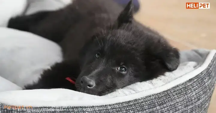 Một Số Cách Điều Trị Khác