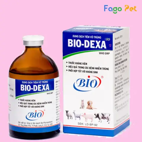 Cách Chữa Ho Do Các Bệnh Liên Quan Tới Phổi