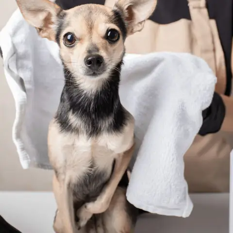 Các Biện Pháp Vệ Sinh Vùng Kín Và Tai