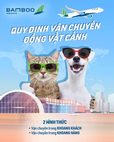 Quy Trình Vận Chuyển Chó Mèo Bằng Đường Hàng Không (2022)