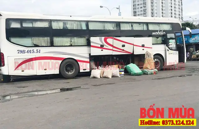 Cách Vận Chuyển Chó Đi Xa Bằng Xe Khách