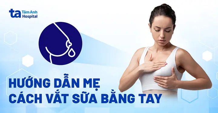Cách Vắt Sữa Chó Mẹ An Toàn, Đúng Kỹ Thuật: Hướng Dẫn Chi Tiết