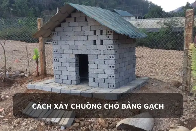 Cách Xây Chuồng Chó Bằng Gạch