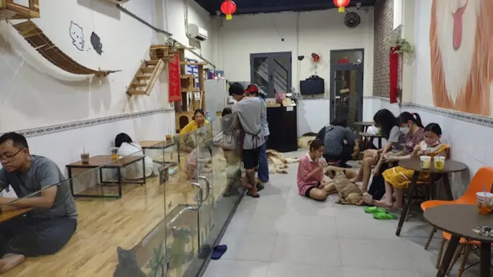 Alaska Coffee – Quán Cafe Thú Cưng Hcm