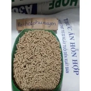 Cám Công Nghiệp Cho Chó Có Tốt Không? Hướng Dẫn Chọn Loại Phù Hợp