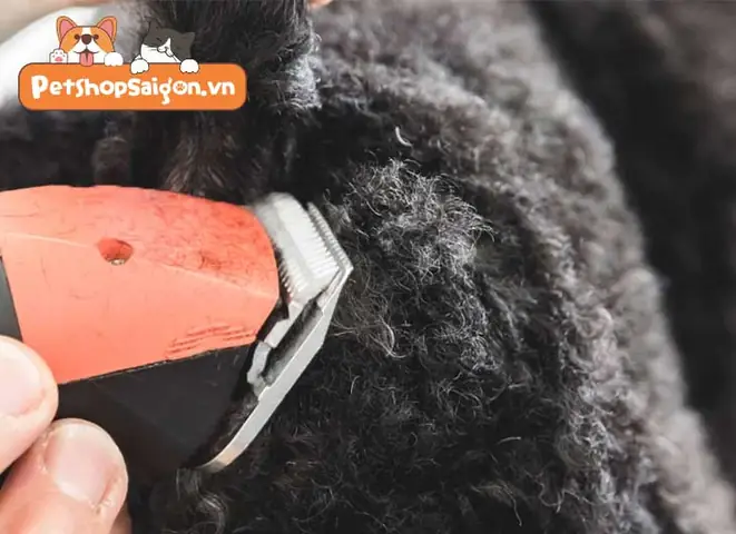 Yếu Tố Môi Trường