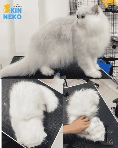 Máy Móc, Thiết Bị Máy Móc, Thiết Bị