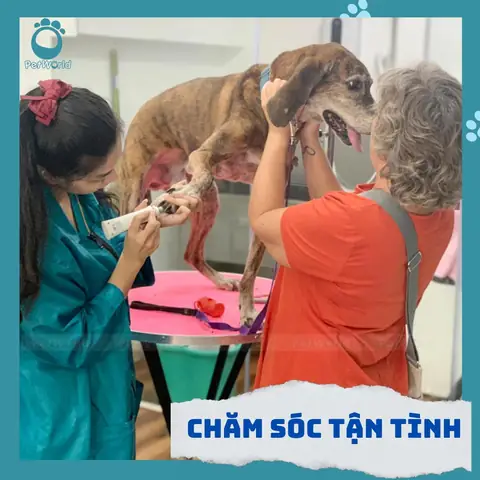 Tiết Kiệm Chi Phí Và Tiện Lợi Cho Khách Hàng