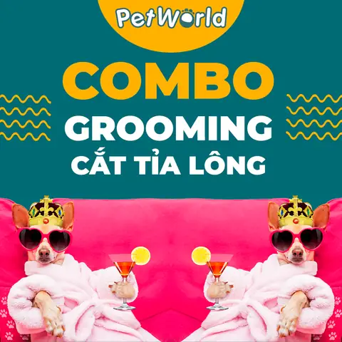 Dịch Vụ Tắm Cắt Tỉa Lông Thú Cưng Tại Spa Quận 7 Có Gì:
