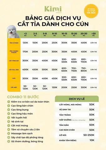 Kimi Pet – Học Viện Chăm Sóc Chó Mèo Uy Tín