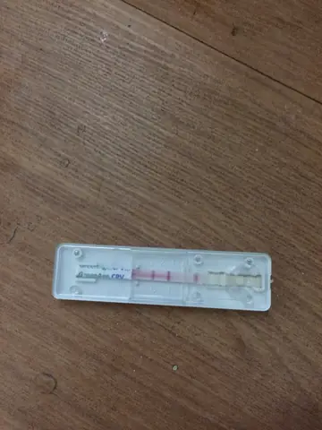 Chăm Sóc Chó Sau Khi Bị Parvo