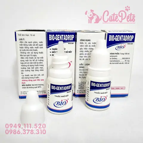 Chỉ Phí Phẫu Thuật Đục Thủy Tinh The Ở Chó Chỉ Phí Phẫu Thuật Đục Thủy Tinh The Ở Chó