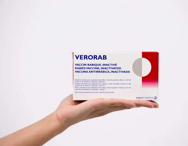 Vì Sao Cần Tiêm Phòng Dại?