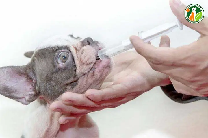 Phòng Ngừa Lây Nhiễm Sang Người Phòng Ngừa Lây Nhiễm Sang Người