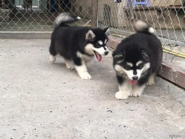 Chế Độ Tập Luyện Chế Độ Tập Luyện