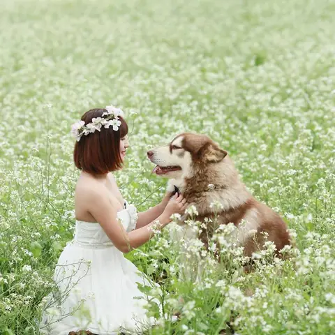 Co Chu Mat Pet Family Tu Tinh Yeu Cho Meo Toi Thuong Hieu Thu Cung Noi Tieng