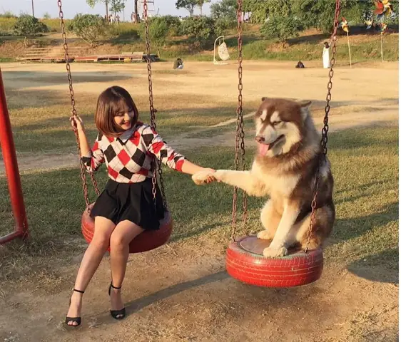 Co Chu Mat Pet Family Tu Tinh Yeu Cho Meo Toi Thuong Hieu Thu Cung Noi Tieng