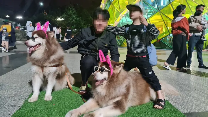 Dự Án Bất Động Sản Nghìn Tỷ "phá Bỏ" Định Kiến Du Lịch Đồ Sơn Dự Án Bất Động Sản Nghìn Tỷ "phá Bỏ" Định Kiến Du Lịch Đồ Sơn