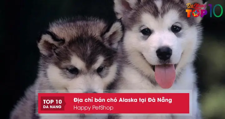 Happy Petshop