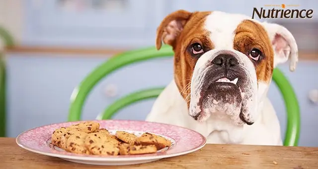 Rối Loạn Ăn Uống Rối Loạn Ăn Uống