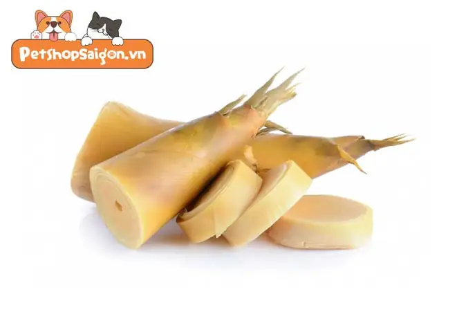 Chó Ăn Măng Được Không? Chó Ăn Măng Được Không?