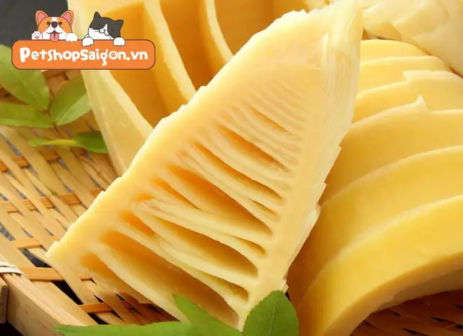 Cách Để Chó Ăn Mang An Toàn Cách Để Chó Ăn Mang An Toàn