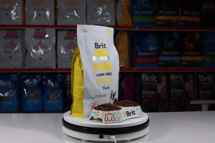 Đưa Chó Tới Phòng Khám Thú Y Uy Tín Gần Nhất Đưa Chó Tới Phòng Khám Thú Y Uy Tín Gần Nhất